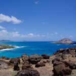 Private Tour Oahu-Full or Half Day-Customizable-Circle Island - Overlooks and Coastal Landmarks with Ocean Views