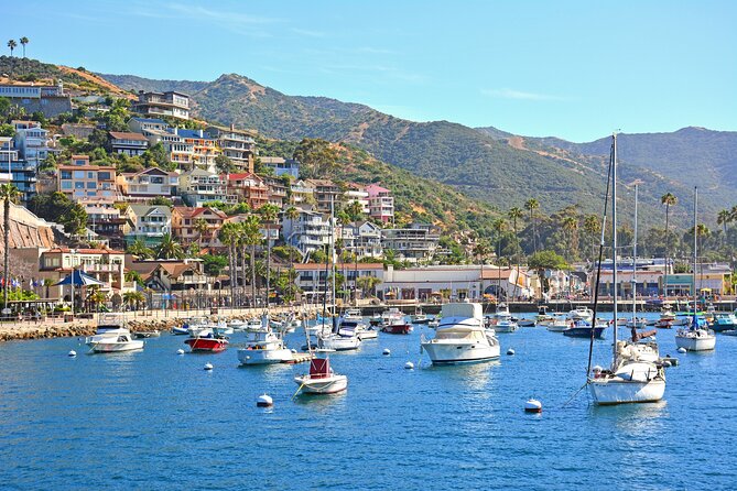 Private Tour of Avalon from Catalina Island - Discovering Avalon: The Only Incorporated City on Santa Catalina Island