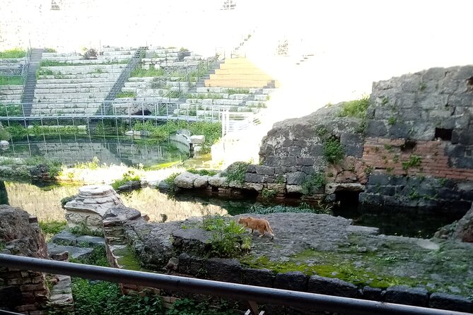 Private tour of Catania and the Riviera of the Cyclops - Starting Point: Customized Pickup and Comfort