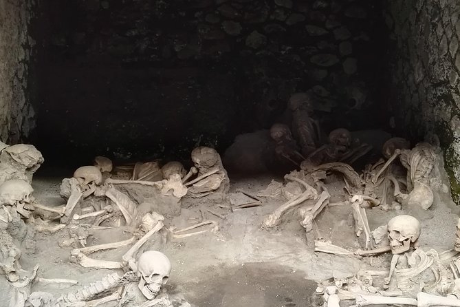 Private Tour Of Herculaneum & Mount Vesuvius - The Convenience of a Private Tour with Pick-Up Service