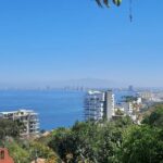 Private Tour of Puerto Vallarta and the Subtropical Forest - Walking the Malecon Boardwalk and Admiring the Bay