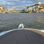 Private Tour of the 6 Bridges with Port Wine - The “Amazing”: A Comfortable, Modern Boat for Serene Navigation