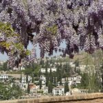 Private Tour of the Alhambra in Granada (includes tickets) - Exploring the Generalife Gardens