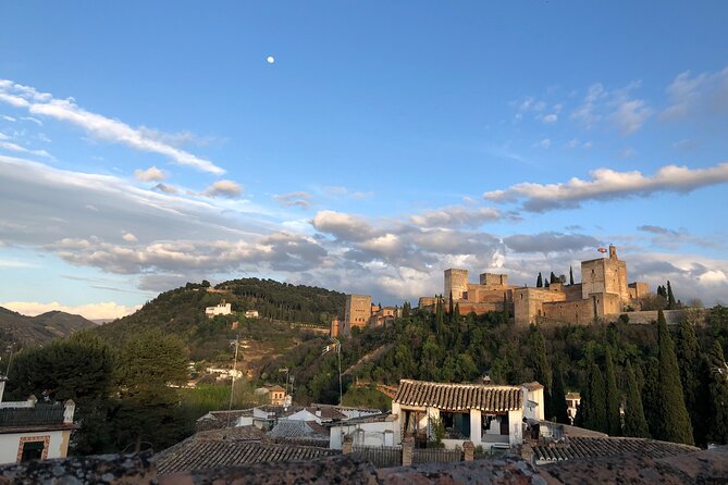Private Tour of the Alhambra of Granada - The Nasrid Palaces: Crown Jewel of the Alhambra