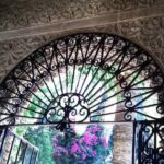 Private tour Palace of Dueñas - What to Expect During the 45-Minute Walk