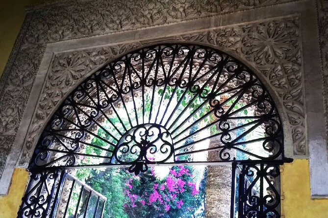 Private tour Palace of Dueñas - What to Expect During the 45-Minute Walk