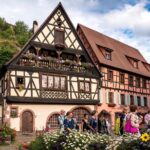 Private Tour: Picturesque Alsatian Villages & Wine Tasting with a local expert - Private Wine Tasting at Domaine Emile Beyer in Eguisheim