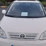 Private Tour Seven Cities, Lagoa do Fogo. Full Day - Visiting the Pineapple Greenhouses at Plantação A Arruda