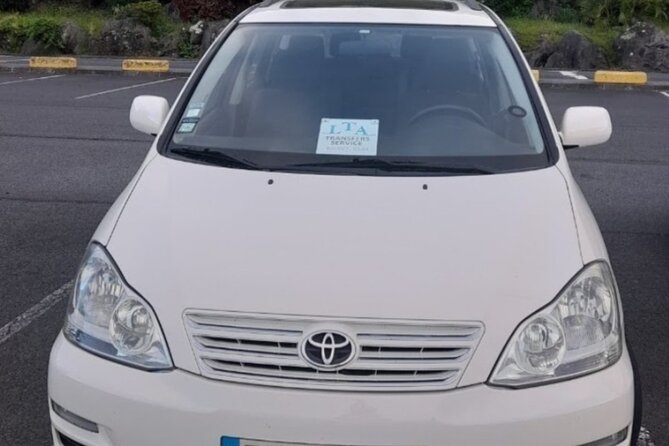 Private Tour Seven Cities, Lagoa do Fogo. Full Day - Visiting the Pineapple Greenhouses at Plantação A Arruda