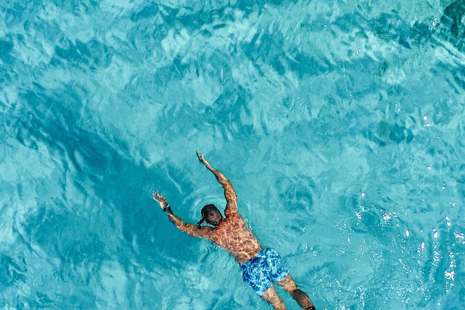 Private tour Sibenik full day - Onboard Amenities and Included Services