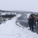 Private Tour through Serra da Estrela Park and its famous cheese - Optional Visit to the Museum of Bread in Seia