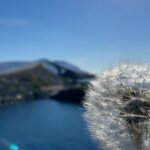Private Tour to Atlantic Road from Ålesund groups 1 to 40 - The Atlantic Ocean Road: Norway’s Coastal Marvel