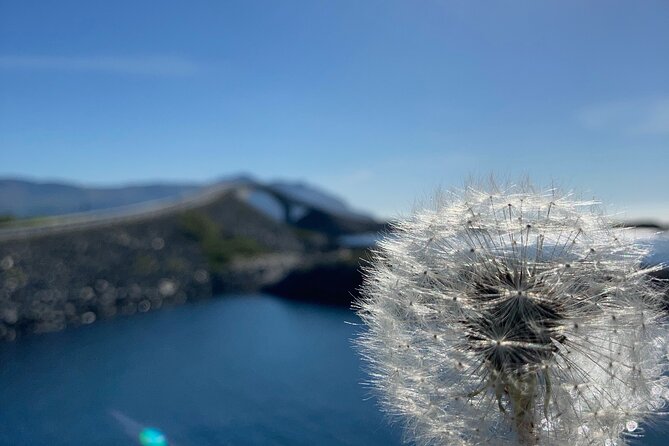 Private Tour to Atlantic Road from Ålesund groups 1 to 40 - The Atlantic Ocean Road: Norway’s Coastal Marvel