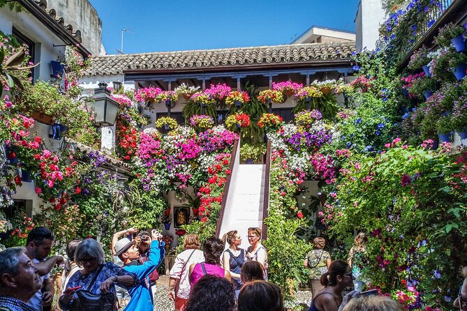 Private tour to Córdoba from Seville (several options) - Walking Tour of Córdobas Historic Center