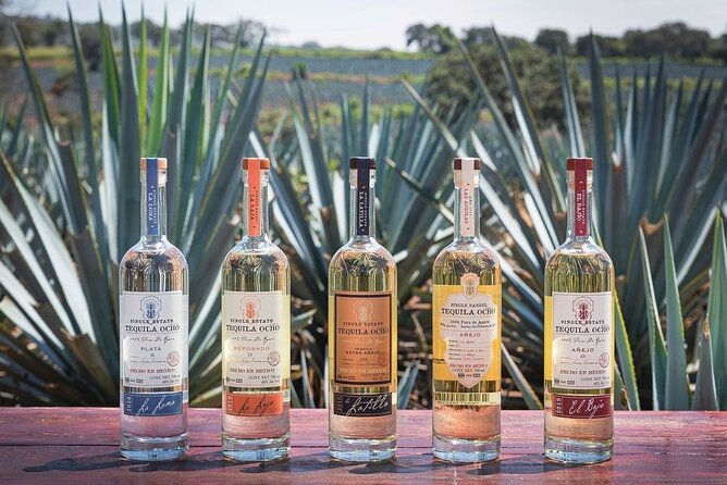 Private Tour to Distillery Tequila Ocho and Arandas - The Distillery Experience at Tequilera Los Alambiques in Arandas