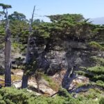 Private Tour to Monterey, Carmel, 17-Mile Drive, Pebble Beach - Flexible Itinerary with Iconic California Destinations