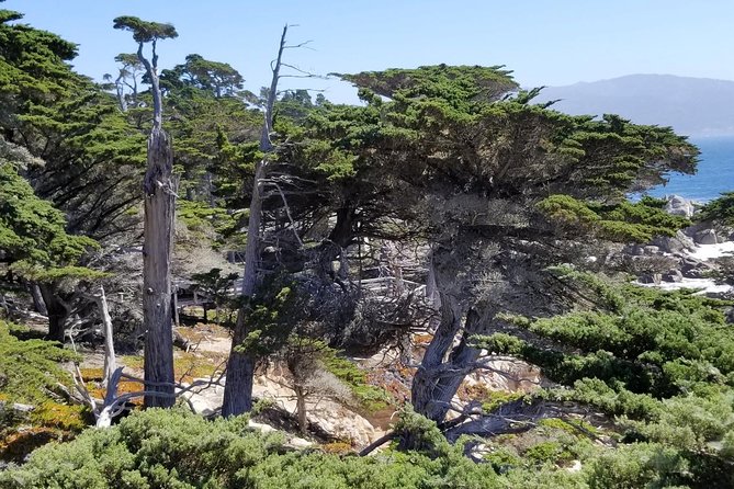 Private Tour to Monterey, Carmel, 17-Mile Drive, Pebble Beach - Flexible Itinerary with Iconic California Destinations