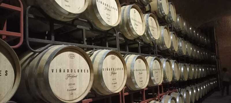 Private tour to Peña de Bernal & Freixenet Winery from CDMX - Pickup and Transportation from Mexico City to Querétaro