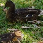 Private tour to the Royal Palace. - The Guide’s Expertise and Storytelling Style