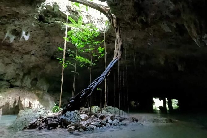 Private Tour to Tulum Cenotes Sac Actun - The Highlights of Cenote Sac Actun: The Worlds Longest Underground River