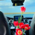 Private Tour to Windmills Zaanse Schans +Keukenhof - 7 Hours - Exploring Zaanse Schans: Windmills and Dutch Heritage