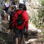 Private Tour: Truffle-Hunting Experience from Amalfi Coast with Lunch - Discover a Unique Truffle-Hunting Adventure from the Amalfi Coast