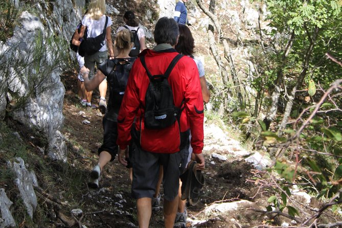 Private Tour: Truffle-Hunting Experience from Amalfi Coast with Lunch - Discover a Unique Truffle-Hunting Adventure from the Amalfi Coast