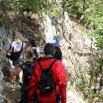 Private Tour: Truffle-Hunting Experience from Sorrento with Lunch - The Forest Hike and Truffle Search