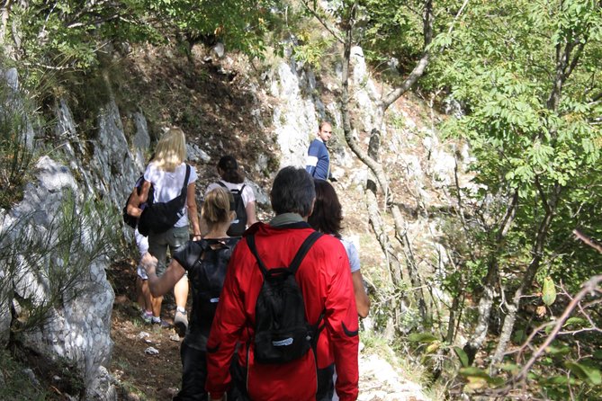 Private Tour: Truffle-Hunting Experience from Sorrento with Lunch - The Forest Hike and Truffle Search