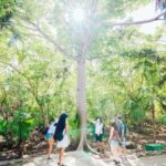 Private Tour: Tulum Ruins, Natural Waterways Float & Tacos - Exploring the Natural Waterways and Lagoon Boat Tour