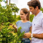 Private Tour Uxmal Land Rover Vintage safari & Mayan brunch - Starting from Mérida in a Vintage Land Rover Defender