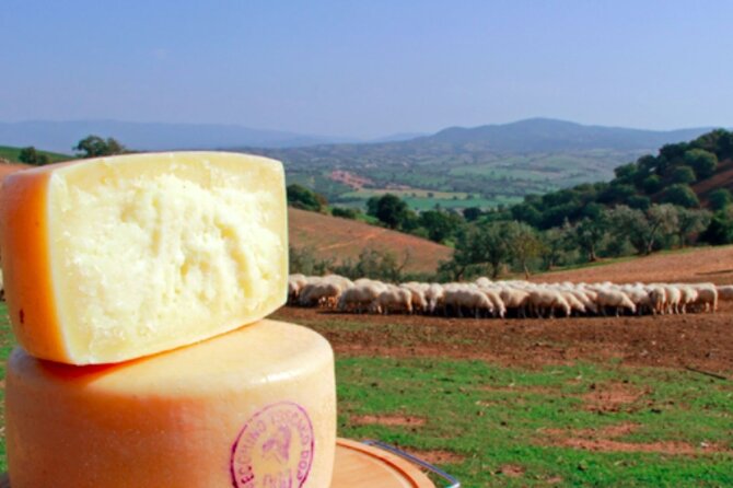 Private tour Wine and cheese a perfect combinations val 'Orcia - Starting in Montepulciano: Wine Cellars and Medieval Charm