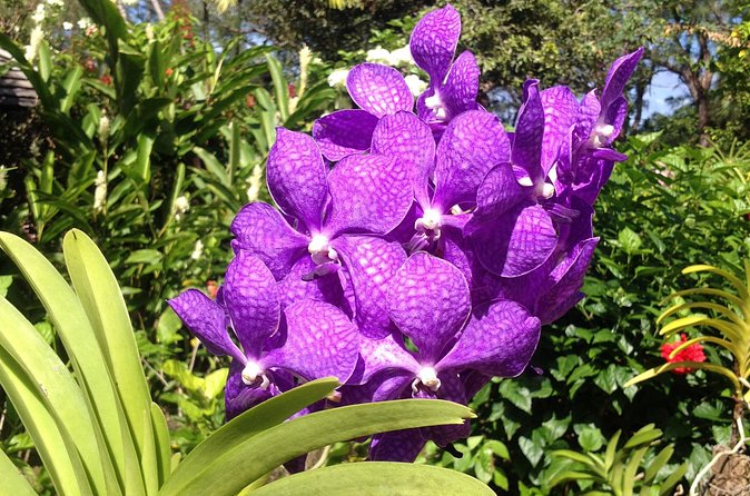 Private Tours - Visiting Bathsheba Beach: The Rugged Coastline