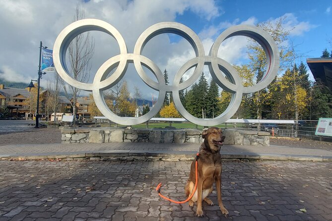 Private Tour:Whistler+Sea 2 sky gondola+Shannon Fall+Green Lake - Exploring Porteau Cove Provincial Park