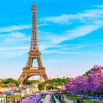 Private Transfer from Amsterdam and Schiphol Airport to Paris - The Luxury of Private Transportation in Comfort