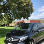 Private Transfer from Barcelona City to the Port (or vice versa) - High-Quality, Well-Maintained Vehicles for a Comfortable Ride