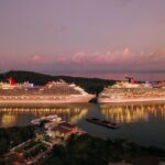 Private Transfer from Bari Cruise Port to Bari Intl Airport (BRI) - Features of the Vehicles and Driver Standards