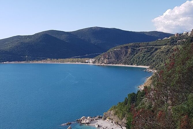 Private Transfer from Budva to Podgorica Airport and city - How the Service Communicates Before the Trip