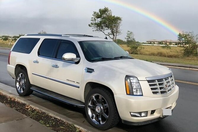 Private Transfer from Hilo Cruise Port to Kona city hotels - How the Private Transfer Works from Hilo Cruise Port to Kona Hotels