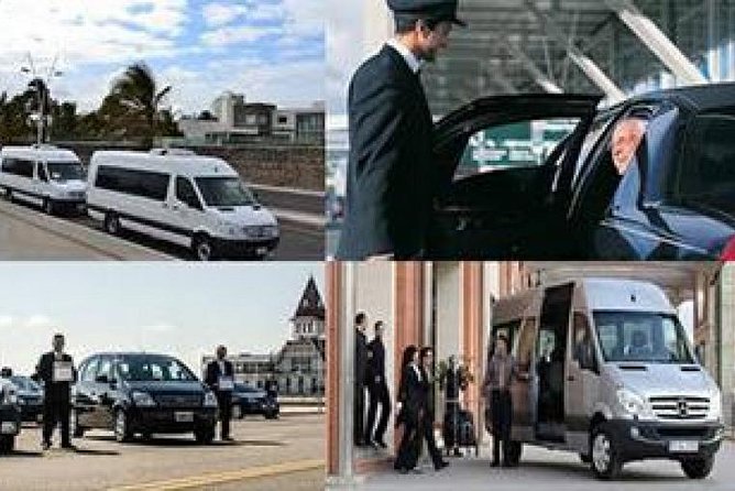 Private Transfer From Madrid Barajas Airport to Madrid - Vehicle Options and Amenities During Your Transfer