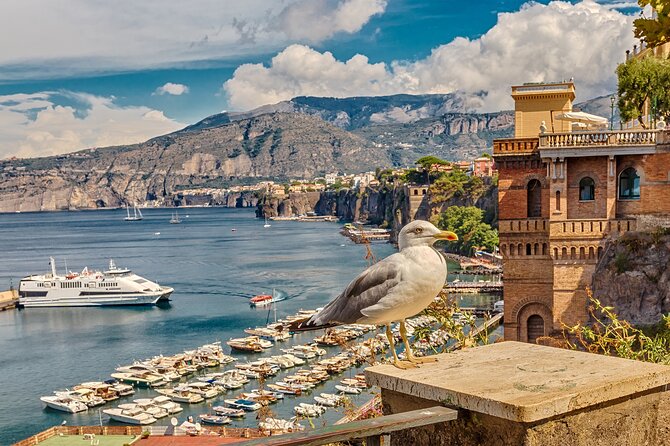 Private transfer from Naples to Sorrento - Travel in Brand-New, Air-Conditioned Vehicles