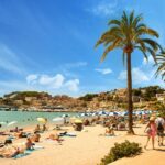 Private Transfer from Palma de Mallorca city to Mallorca airport (PMI) - Pickup Locations and Flexibility in Palma de Mallorca