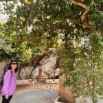 Private Transfer from Sevilla to Granada stopping in Ronda - Exploring Ronda: One of Andalusia’s Most Beautiful White Villages