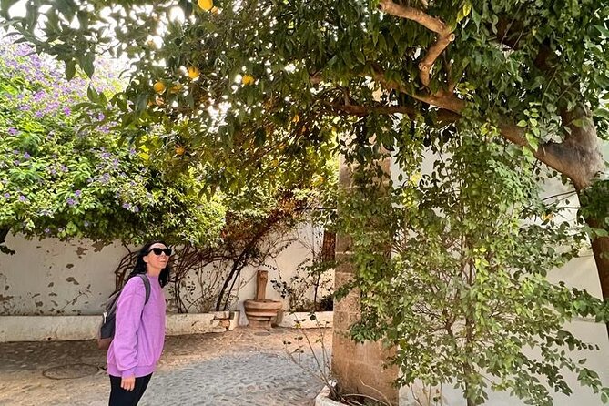 Private Transfer from Sevilla to Granada stopping in Ronda - Exploring Ronda: One of Andalusia’s Most Beautiful White Villages