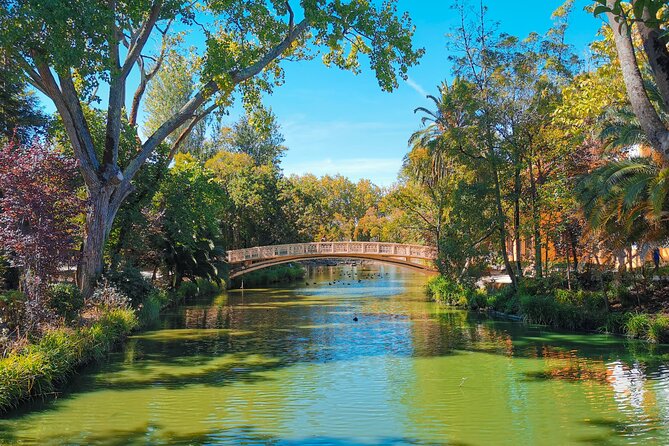 Private Transfer - Lisbon->Porto+Obidos/Aveiro/Fatima/Nazare - The Charm of Óbidos Medieval Walled Town