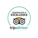 Private Transfer London & Southampton - Cruise Terminal or Hotel - Flexible Scheduling and Monitored Flights