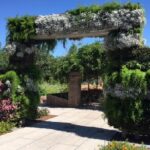 Private Transfer: Louis Armstrong Airport MSY to New Orleans in Luxury SUV - Luxury Vehicles Used for the Transfer