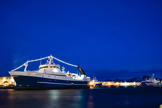Private Transfer Service from Hotels in Reykjavik to Cruise Ship Terminal - Comfort and Cleanliness of the Vehicles