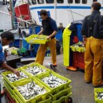 Private Transfer Tour Bilbao to San Sebastian through the Basque Coast - San Juan de Gaztelugatxe: A Coastal Marvel with Hollywood Fame