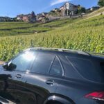 Private transfer Zurich to Interlaken (1-6 persons) - Meet Your Driver in Zurichs Arrivals Hall